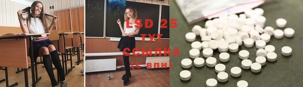 PSILOCYBIN Алексин