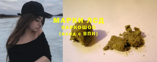 стафф Алзамай