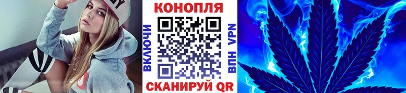 Купить закладки  Елизово  Бошки марихуана VHQ 